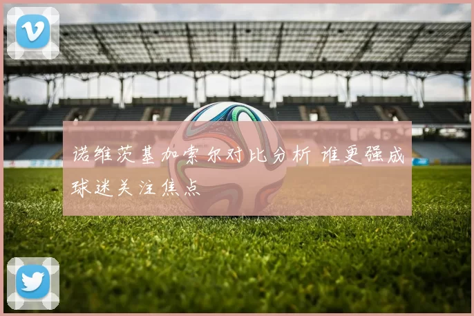 诺维茨基加索尔对比分析 谁更强成球迷关注焦点