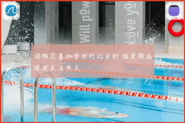 诺维茨基加索尔对比分析 谁更强成球迷关注焦点